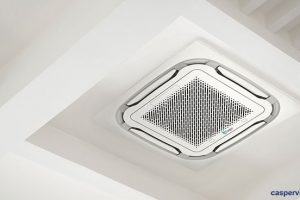 Dieu Hoa Am Tran 2 1