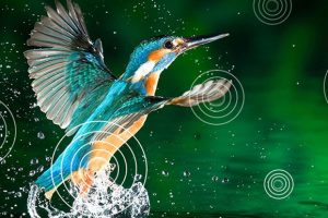 Android Tivi Casper 32 Inch 32hga510 04