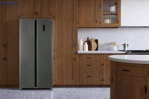 Tu Lanh Side By Side Ecofresh Rs 460pg Thiet Ke